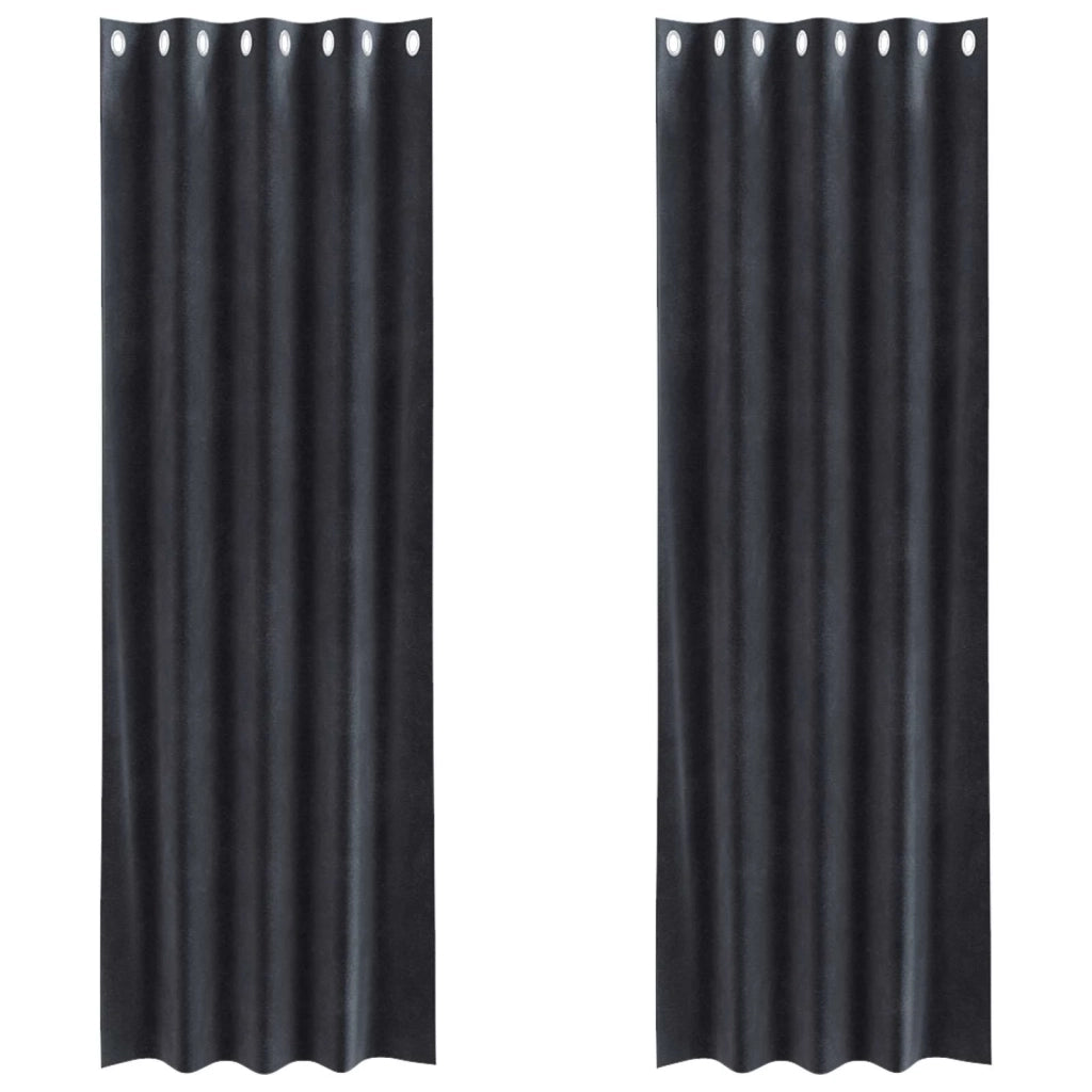Tende Oscuranti | Tende Blackout 2 pz Grigio scuro 140 x 245 cm Velluto