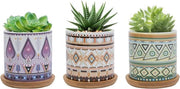 Pianta di cactus in ceramica da 7,5 cm, con disegno colorato, piccola pianta per interni ed esterni con scodella di bambù, set da 3.
