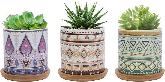 Pianta di cactus in ceramica da 7,5 cm, con disegno colorato, piccola pianta per interni ed esterni con scodella di bambù, set da 3.