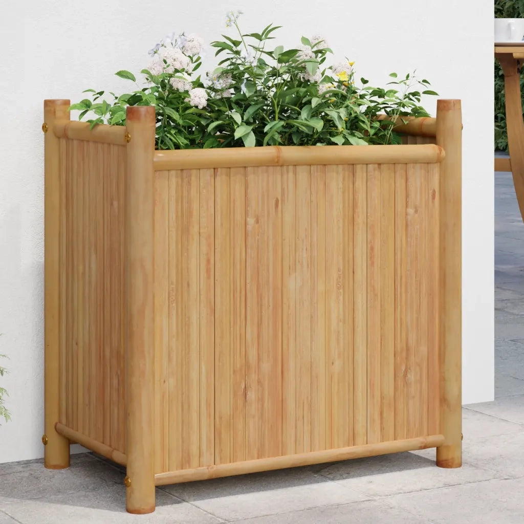 Fioriera-Vaso-Contenitore per Piante 50x30x50 cm in Bamb¨´