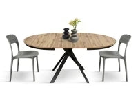 PAZZO DESIGN Tavolo Allungabile con Gambe Incrociate rotondo, Made in Italy, Basamento Nero, Rovere rustico