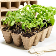 Trade Shop - Vasi Vasetti Biodegradabili Per Piantine Piante Fiori Semenzaio 40pz 6x6x4.5cm -