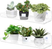 Supporto Pianta Sospeso per 2 Rampe | Stendardo per Piante Indoor per Aria Fresca e Decorazione | Reggispecchi per Fiori con Stendardo per Fiori | Supporto per Piante da Appendere al Muro