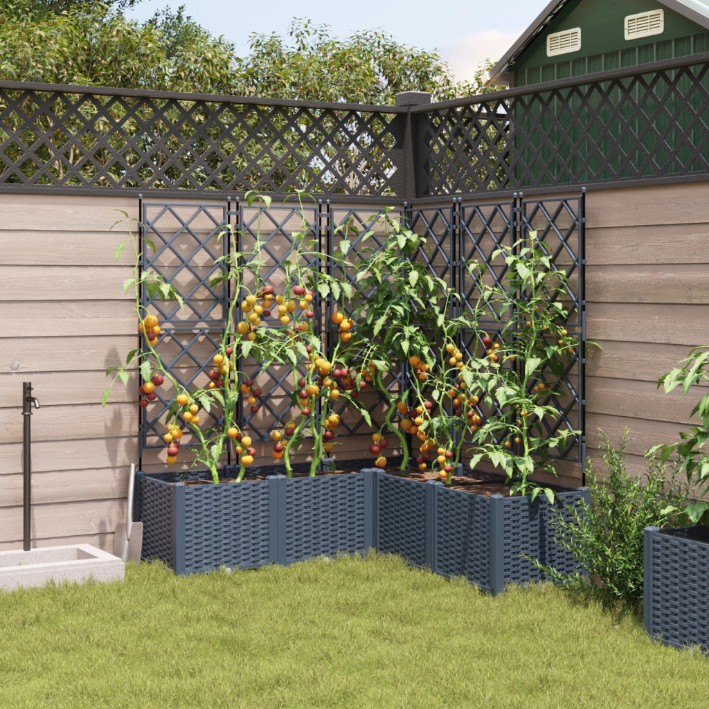 Vaso da Giardino con Traliccio 5 pz Grigio 120x120x143 cm