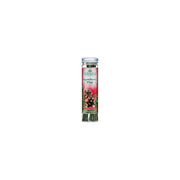 Scentsicles Bastoncini Profumati Albero Natale Pigne Speziate 6 Pezzi