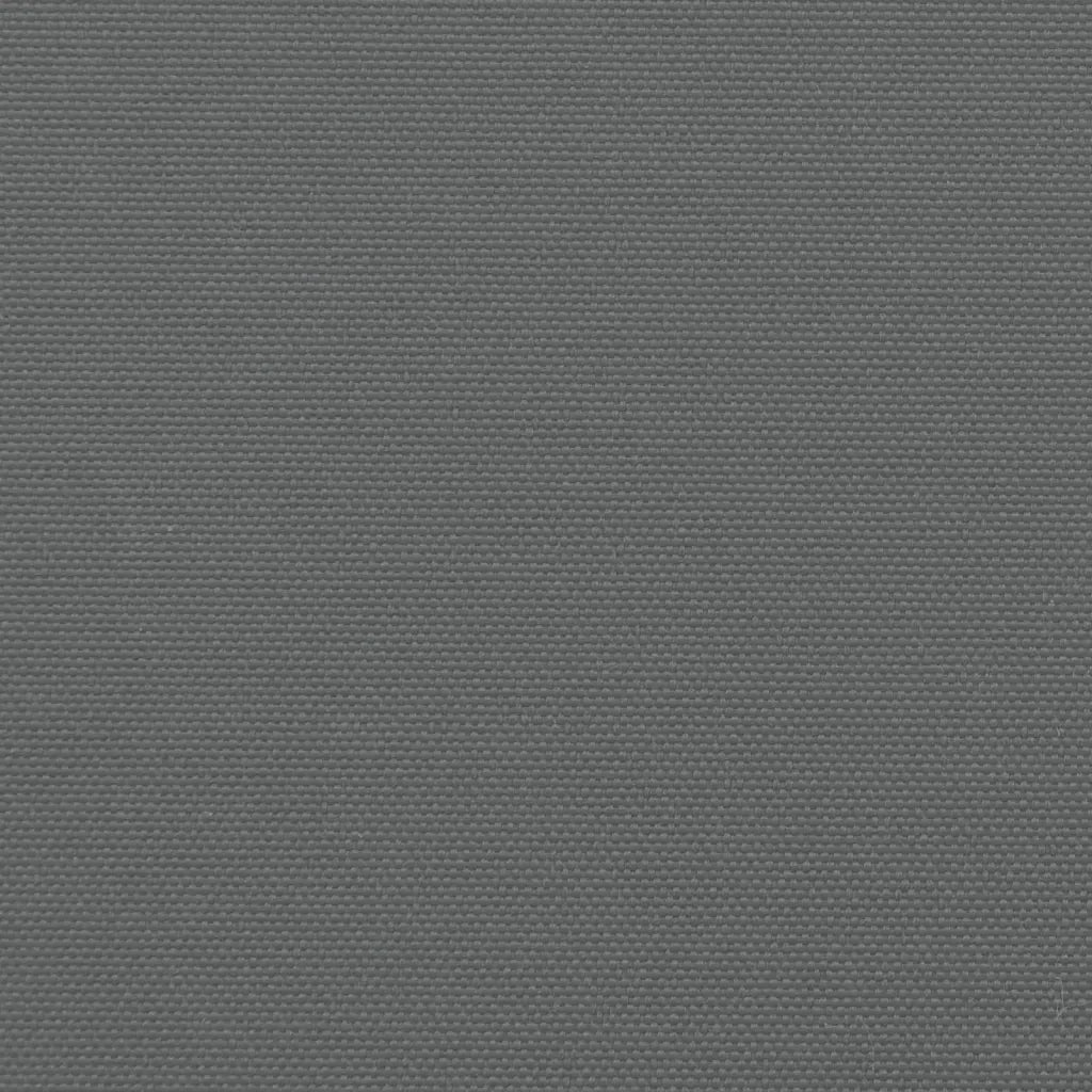 Tenda da Sole Laterale Retrattile Antracite 160x1000 cm 4004733