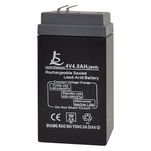 batteria per kg. 35 - bilico kg. 300 cod:ferx.6092104nlm