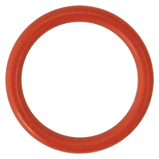 guarnizione o-ring per perno per n 5 - mm 29,82 x 2,62 cod:ferx.8400784nlm
