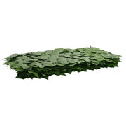 Paravento da Balcone | Schermo per balcone con foglie Verde 600 x 150 cm
