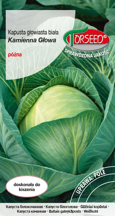 Cavolo cappuccio bianco Kamienna Głowa 2g