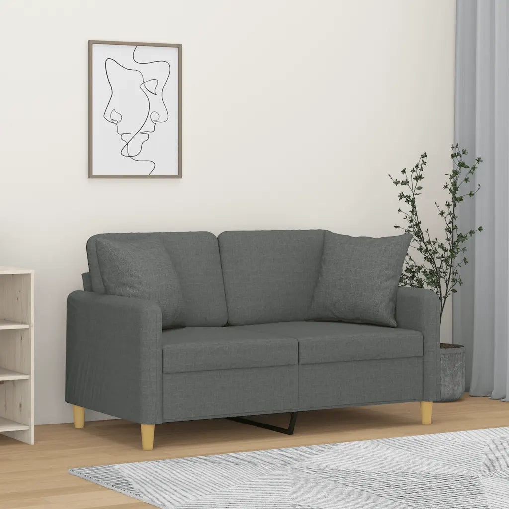 Divano a 2 Posti con Cuscini-Sofa 2 Posti con Cuscini Grigio Scuro 120 cm in Tessuto 859614