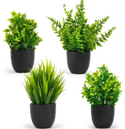 Set di Piantine Decorative Piccole da 4 in Vaso per Uso Residenziale e Ufficio