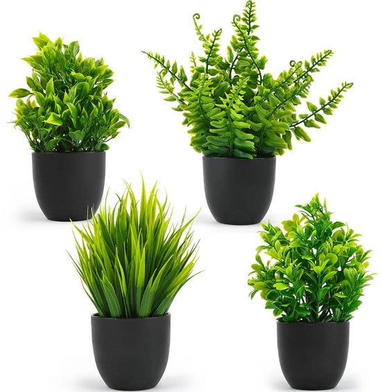 Set di Piantine Decorative Piccole da 4 in Vaso per Uso Residenziale e Ufficio