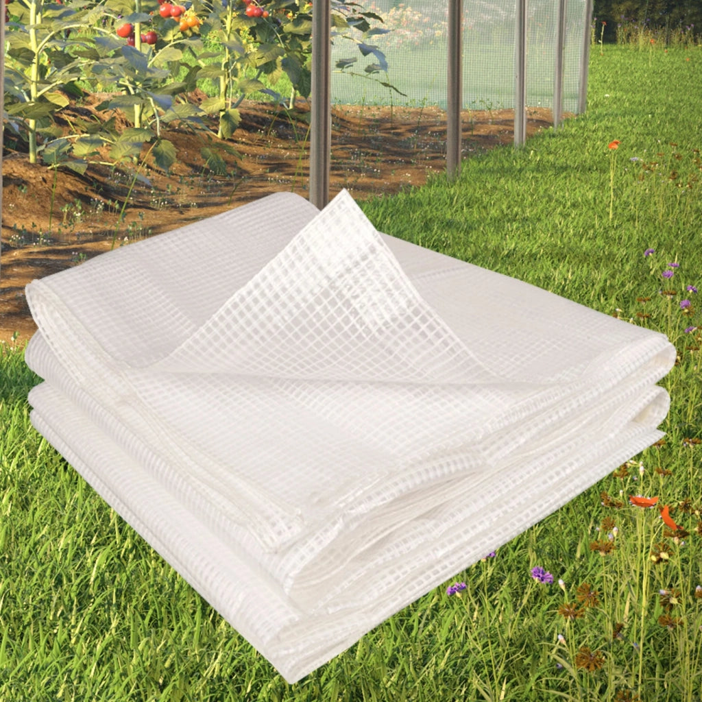 ProBache - Telo telone rinforzato trasparente 8x12 mt