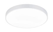 Plafoniera da Interno a LED in Metallo Bianco Opaco