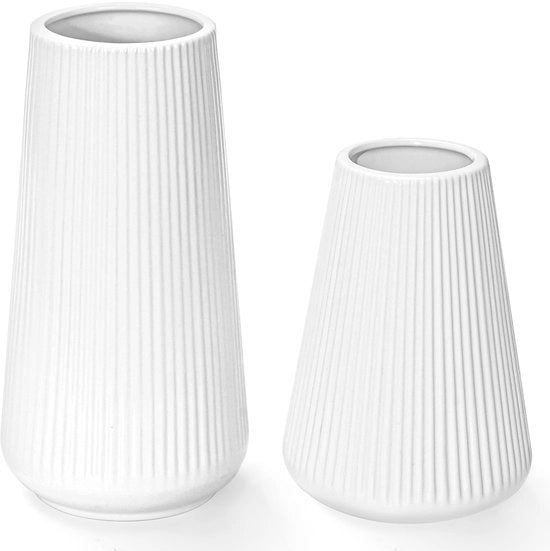 Set di Vasi Decorativi in Ceramica con Grovatura, Set di 2 Vasi in Ceramica Bianchi per Decorazione con Pampas, Vaso Piccolo Matto, Decorazione Boho Moderna per Casa, Decorazione per Sala, Decorazione per Tavolo, Fiori Secchi.