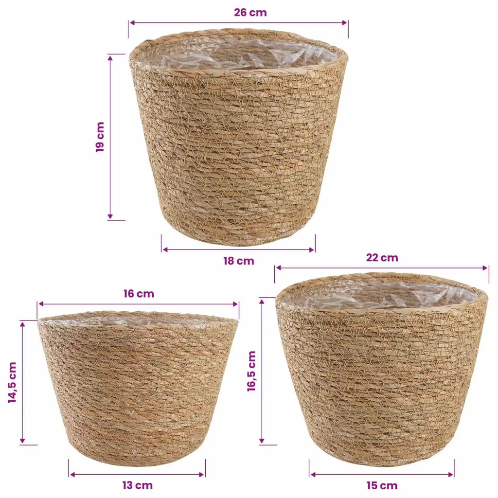 Cesti per piante in erba marina 3 pcs Naturale Ø26 x 19 cm