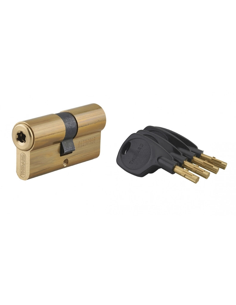 Cilindro europeo Surveyor 31 x 31 mm, ottone, anti-estrazione, 4 chiavi – THIRARD