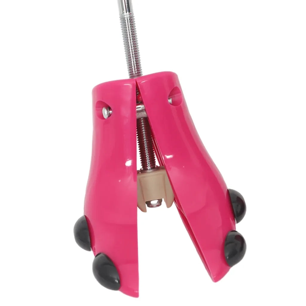 Allargatore per Stivali con Calzascarpe Rosa EU 34-40 Plastica CFW2813245