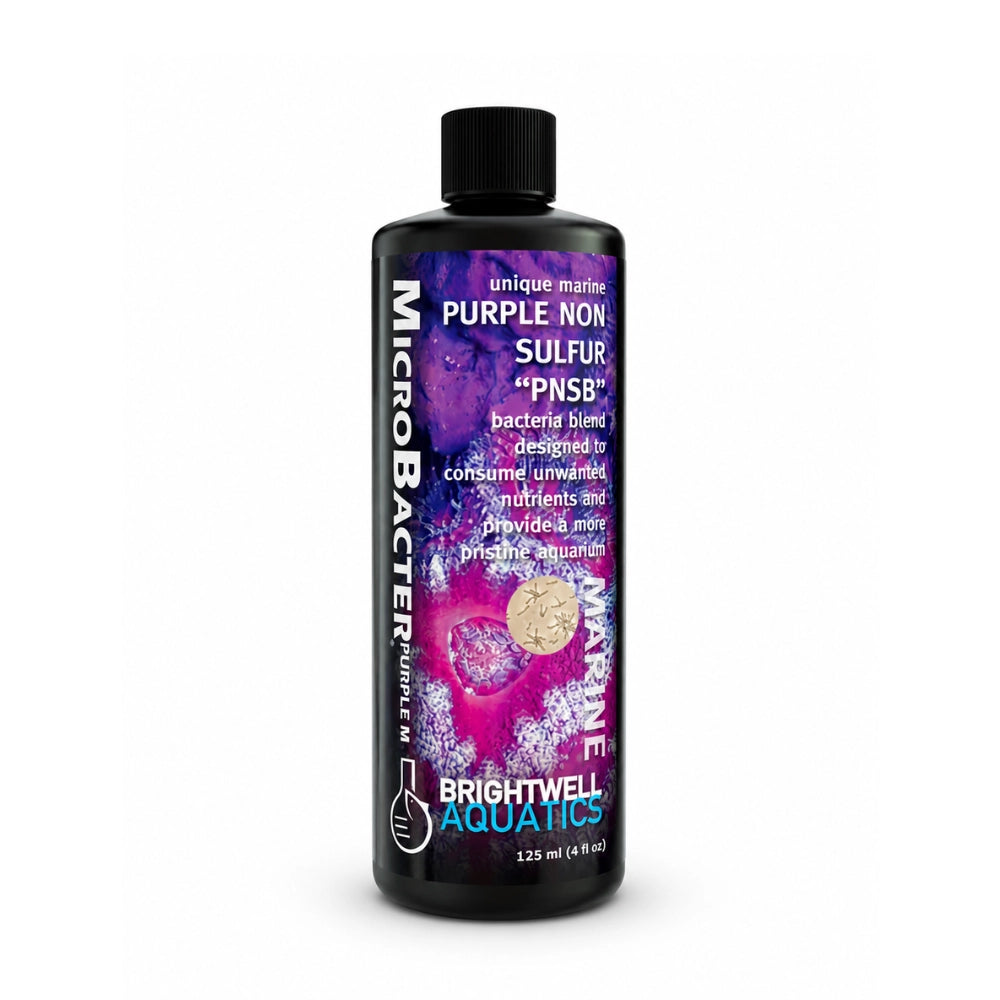 Brightwell Aquatics MicroBacter Purple M 125ml - attivatore batterico con batteri PNSB per acqua marina
