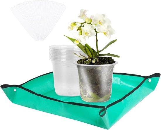 Set di 10 vasi da giardino 11 cm con tappetino per piante - Vasi per piante di orchidea trasparenti