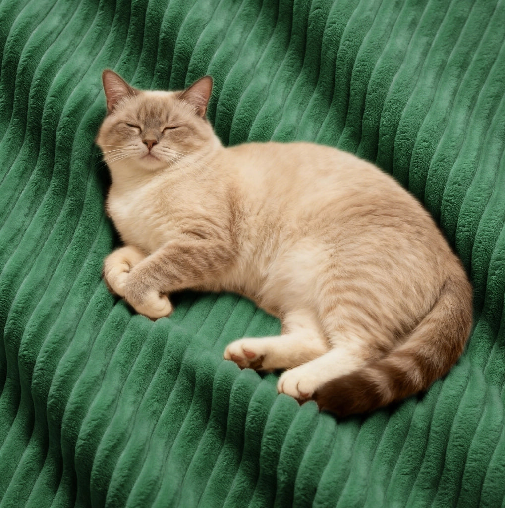 Divano modulare con seduta profonda in corduroy verde