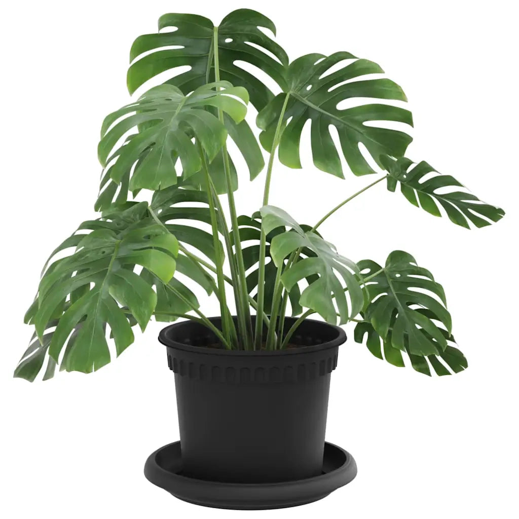 Vasi per Piante 24 pcs Nero Ø 12,5 x 10 cm Plastica 3403266