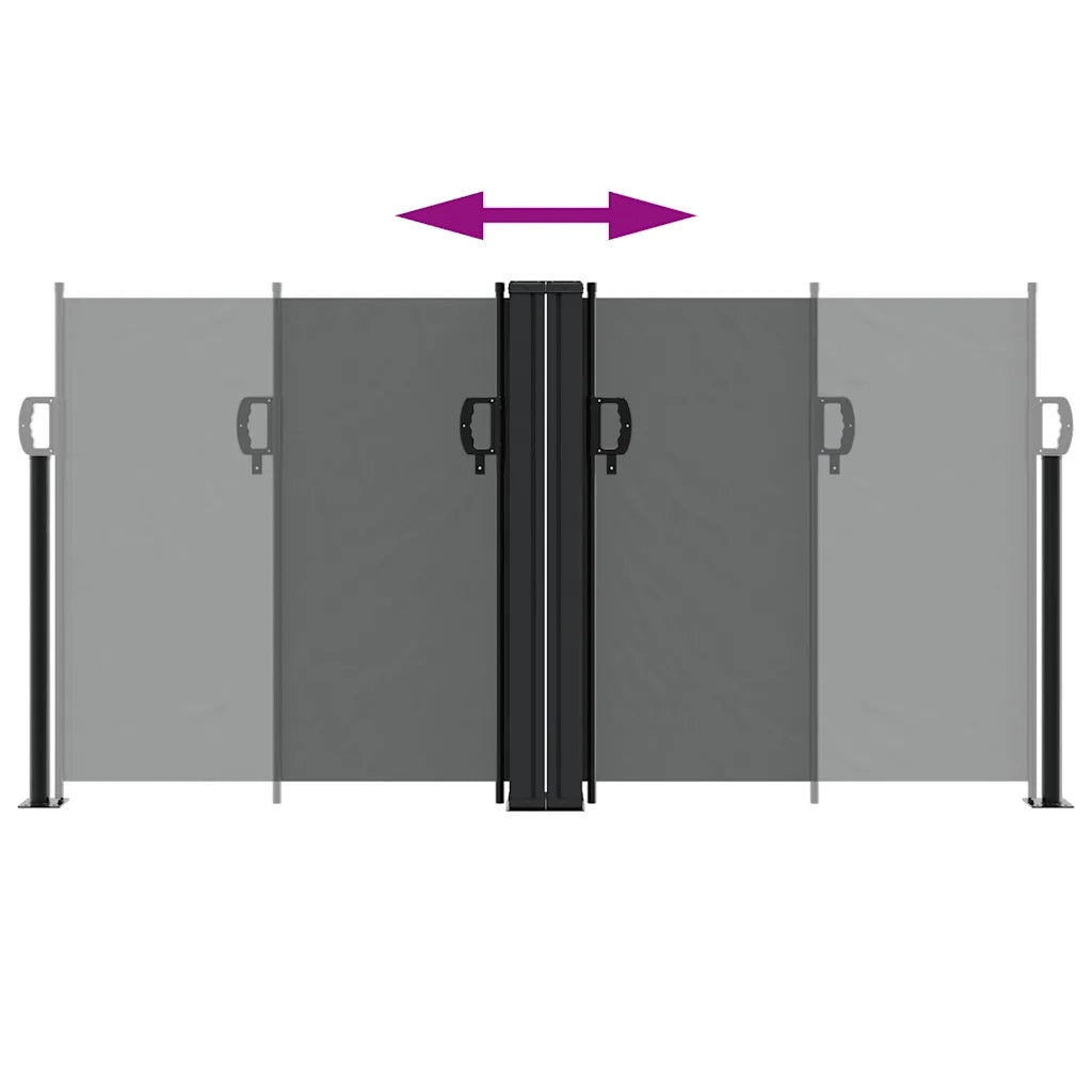 Tenda da Sole Laterale Retrattile Antracite 120x600 cm 4004598