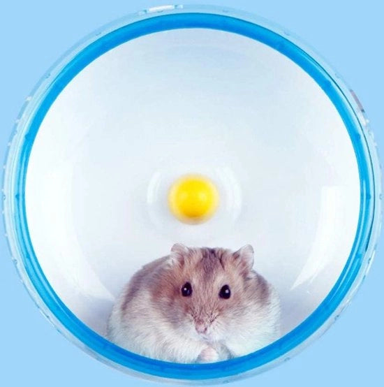 Ferro di ruota in plastica per hamster e cavia - bicicletta da traino silenziosa per piccoli animali domestici - colore casuale - 14 cm