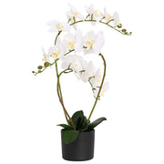Pianta di Orchidea Artificiale con Vaso Bianco 45 x 15 x 65 cm 42042079