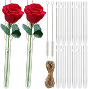 12 reageerbuisetti appesi per fiori, vaso con foro per reageerbuisetti, vaso reagenti trasparente, reagenti creativi in vetro per casa, ufficio e decorazione di matrimonio (1,5 * 15 cm)