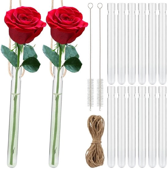 12 reageerbuisetti appesi per fiori, vaso con foro per reageerbuisetti, vaso reagenti trasparente, reagenti creativi in vetro per casa, ufficio e decorazione di matrimonio (1,5 * 15 cm)
