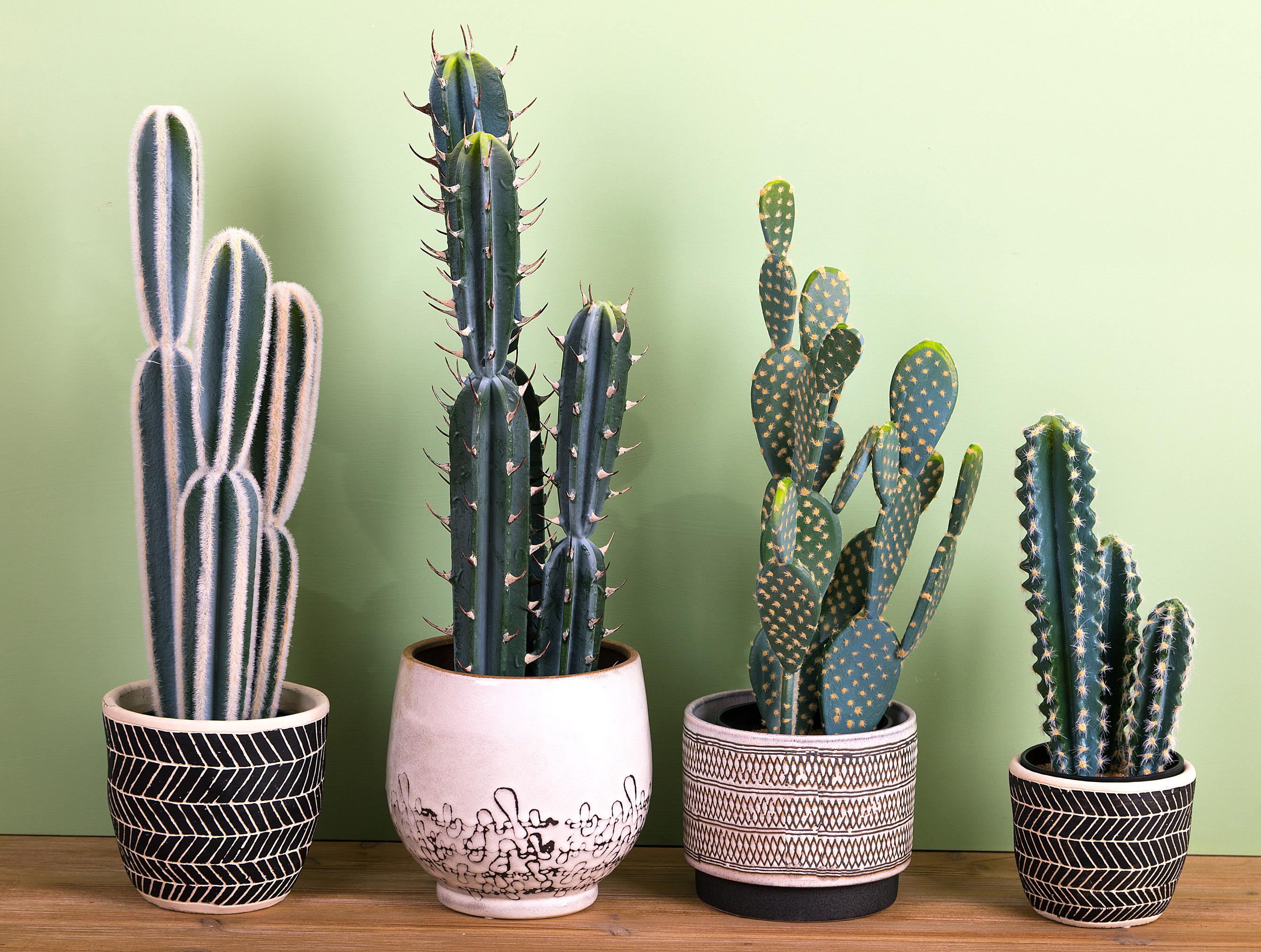 Set 2 Piante Artificiali Cactus Echinopsi con Vasi H 37 cm