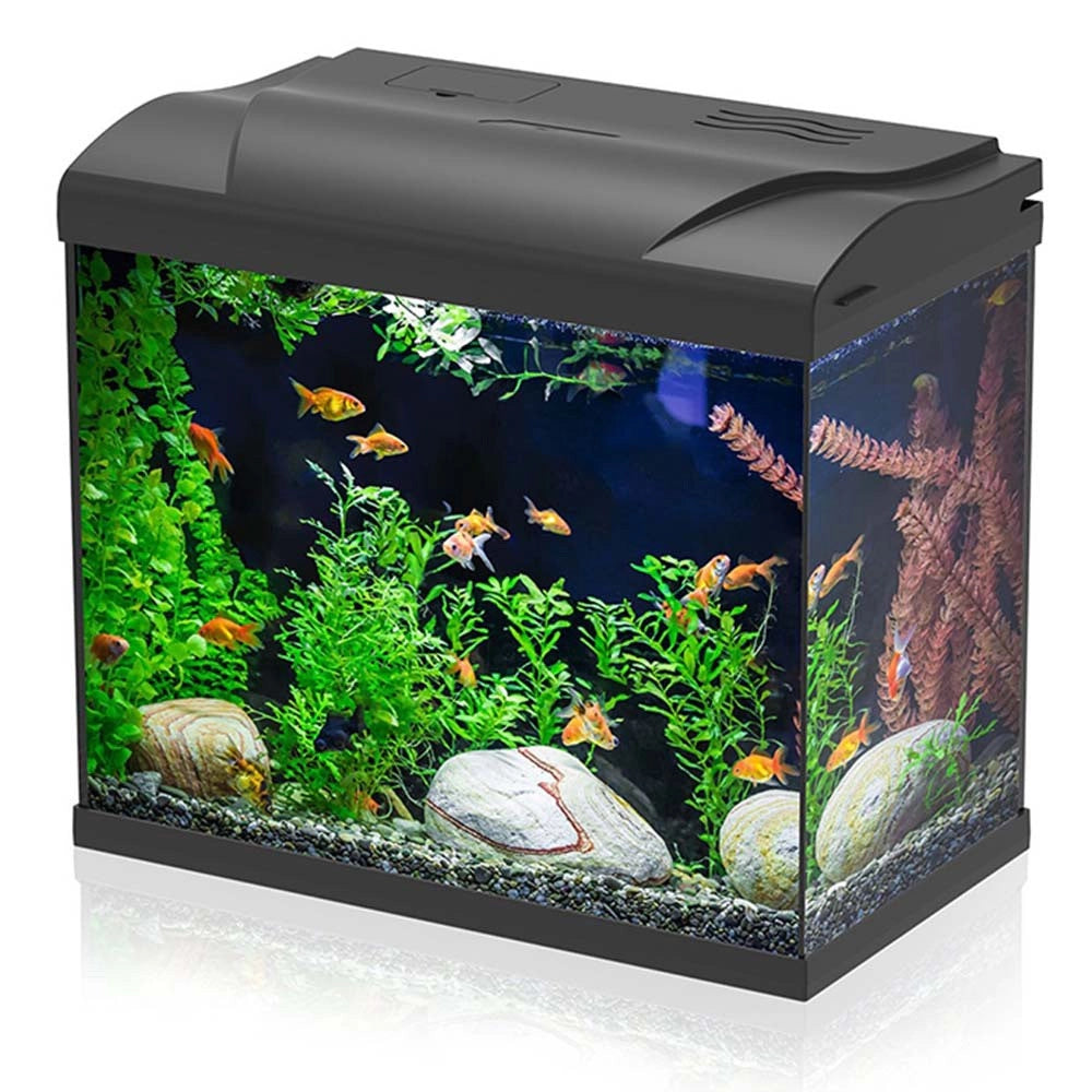 Aqpet Simply LED 30 - acquario cm39x22x30h completo di filtro e illuminazione