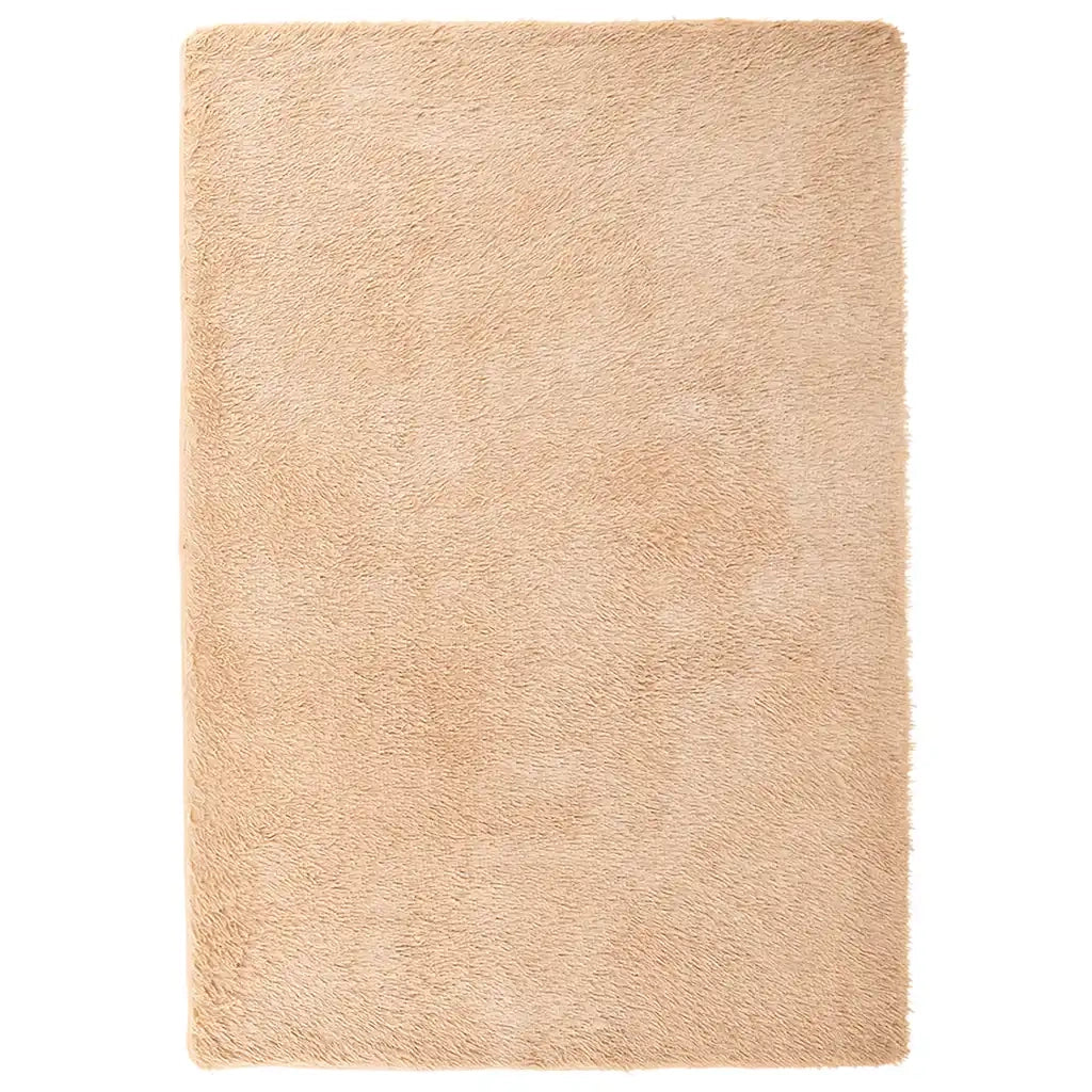 Tappeto del soggiorno | Tappeto Shaggy a Pelo Lungo NAVARRA Beige 200x290 cm poliestere