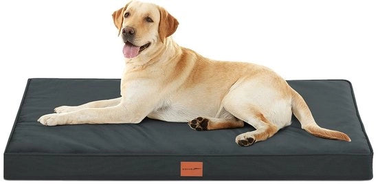 Sdraio per Cani Ortopedico con Cuscino a Forma di Uovo per Cani Grandi, 112 x 81 cm, Rimosibile e Lavabile, Fondino Antiscivolo, Grigio
