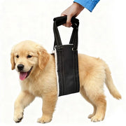 Aiuto portafacile da trasportare - Supporto portatile - Sostegno - Assistenza - Recupero - Design ergonomico - Cinturone per cani