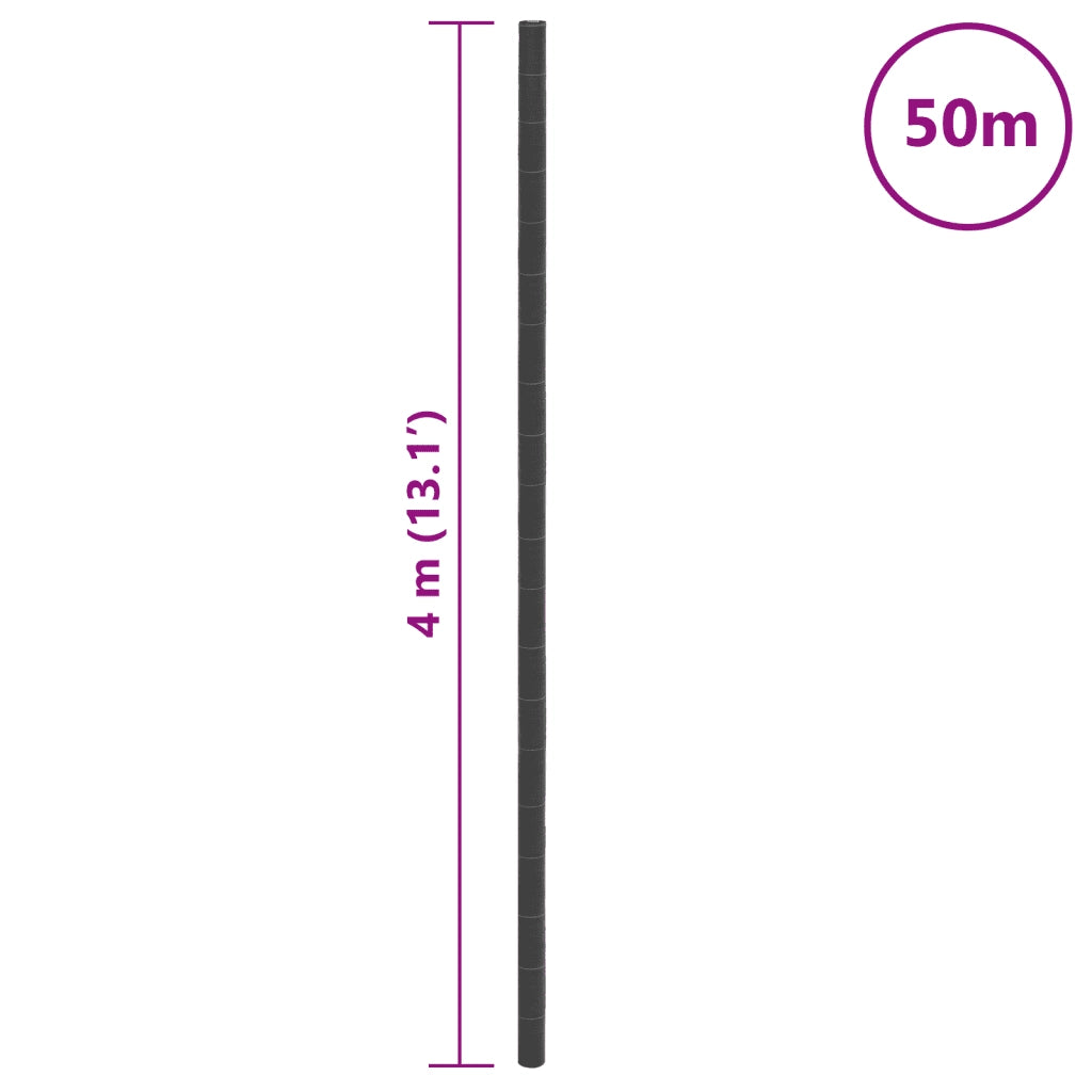 Membrana Antierbacce Nera 4x50 m in PP CFW9048707