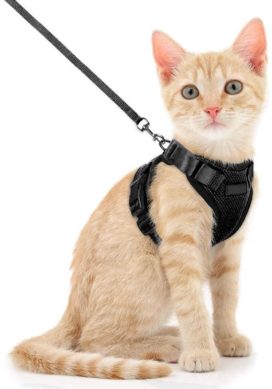Fodera per gatti adattabile - Cinturone di sicurezza - Cinturino a slitta 150 cm - Per gatti piccoli/medi/grandi - Escursioni/travel - Nero - Cinturino per cani