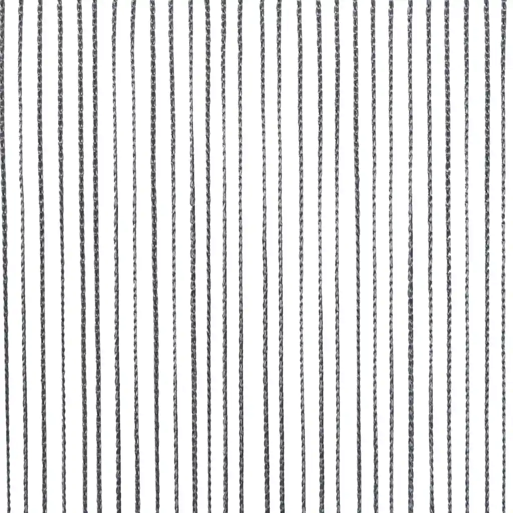 vidaXL Tende a Filo 2 pz Antracite 100x250 cm