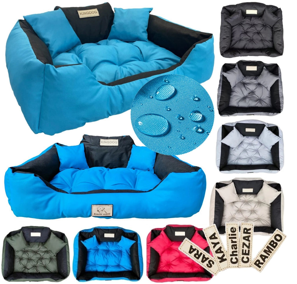 AIO FACTORY 100x75 cm KINGDOG Cuccia per cani impermeabile personalizzabile Blu