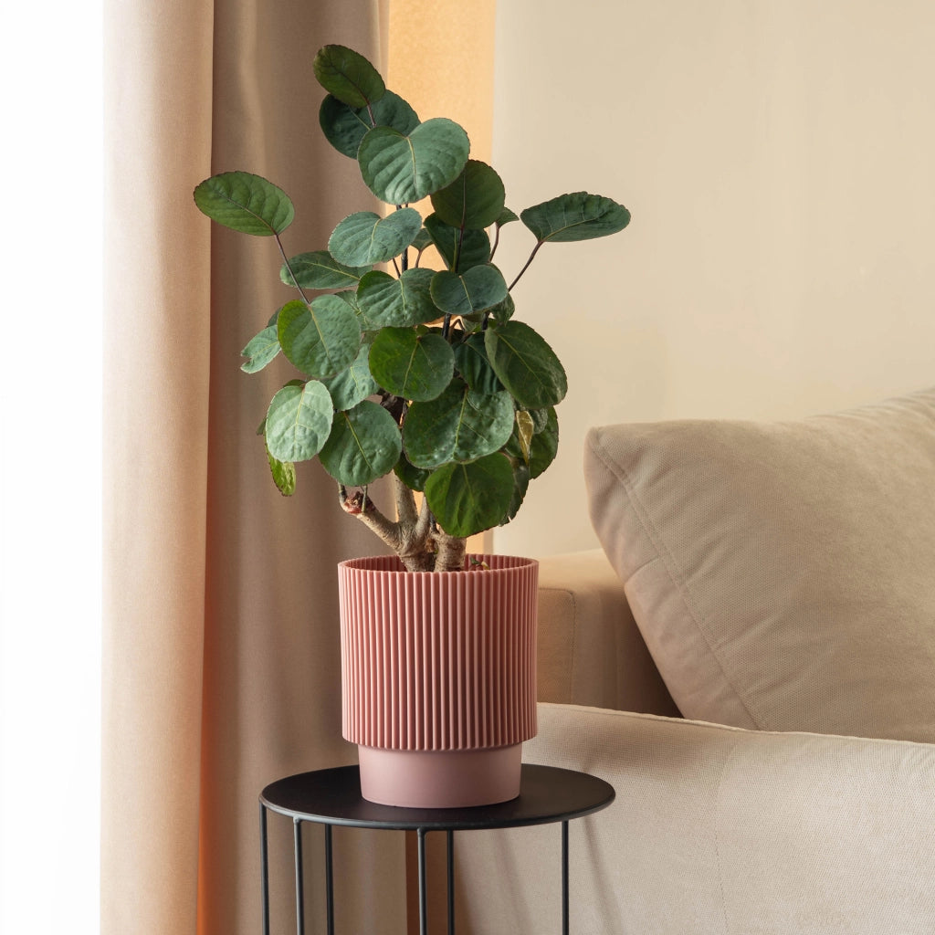 Vaso da fiori KADAX 13 cm, copripianta, vaso da fiori in plastica rosa