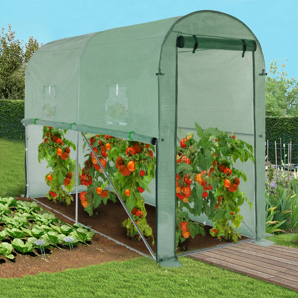 IDMarket - Serra per pomodori verde a cerniera con 2 finestre, zanzariera e porta con zip