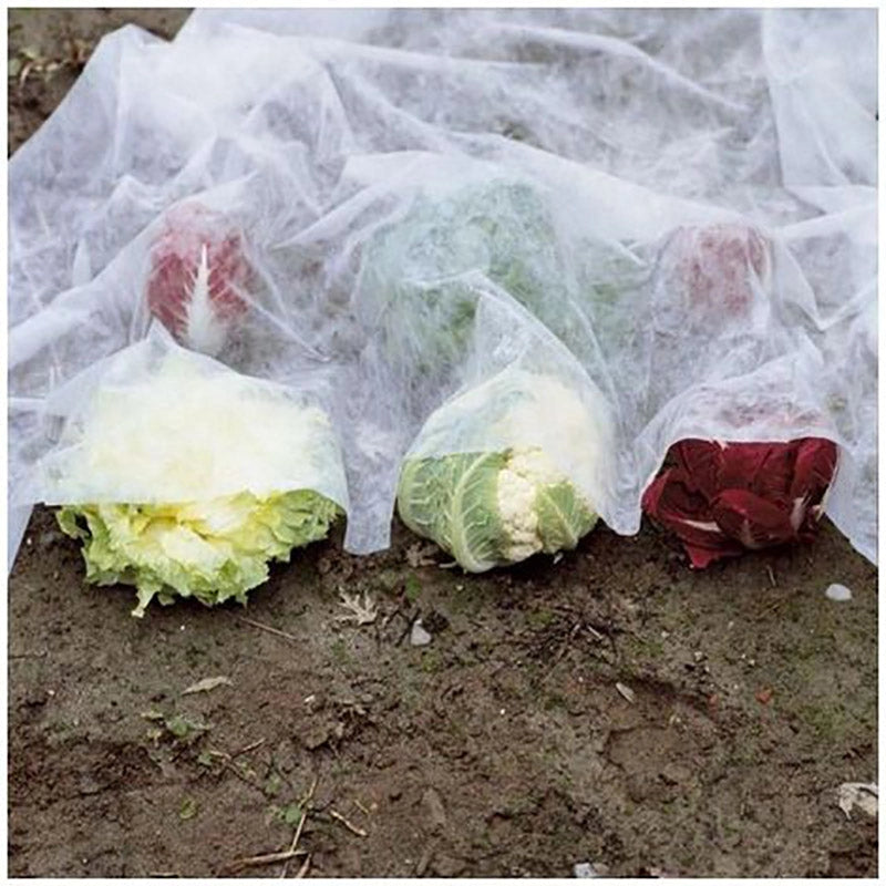 Velo di Protezione per Orataggi Frutta 1,6x2m in TNT Rama Bianco