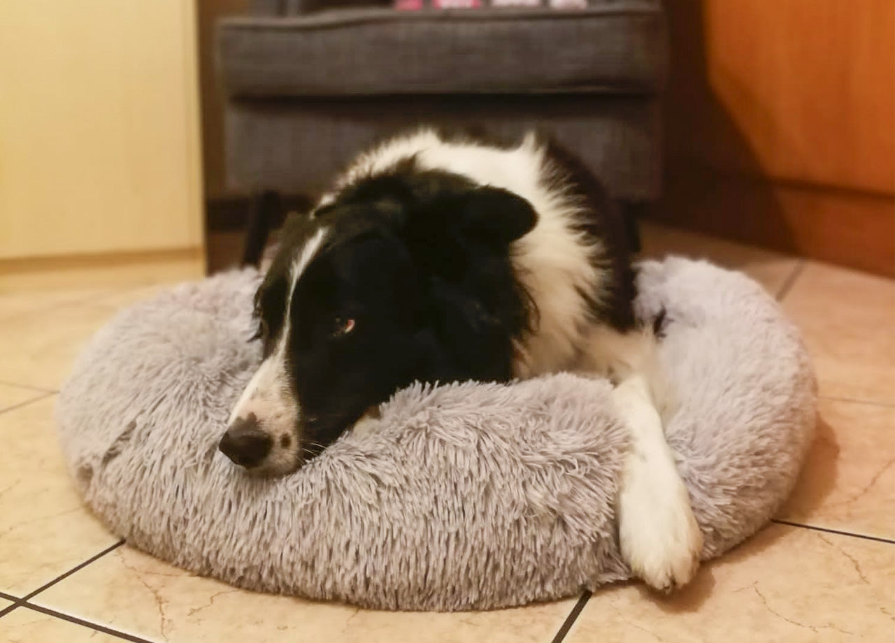 Cuccia Cane Gatto Cuscino Peloso Morbido Peluches Caldo Rotondo Ciambella Animali Fluffy - Grande - Grigio Chiaro