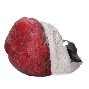 Cane resina nero con gatto, cappello e led cm 35x34h24,6