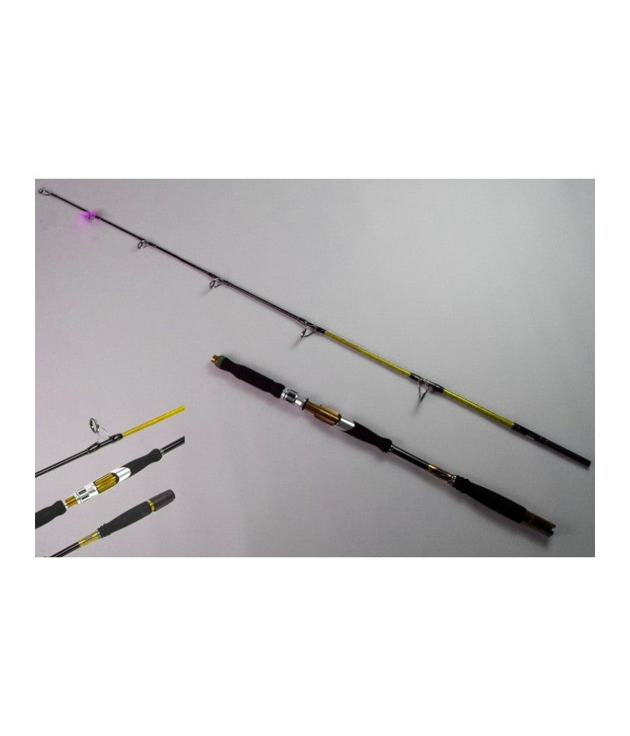 Canna Da Pesca Mare Barca Lunghezza 2.7m 10/30g Telescopica Portatile Spinning         