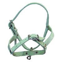 'CAPEZZA PER PECORA in bufalo'