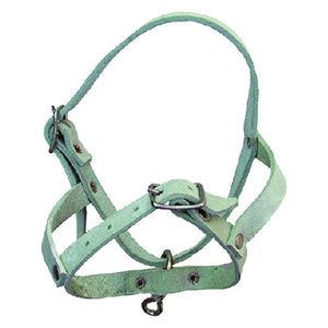 'CAPEZZA PER PECORA in bufalo'