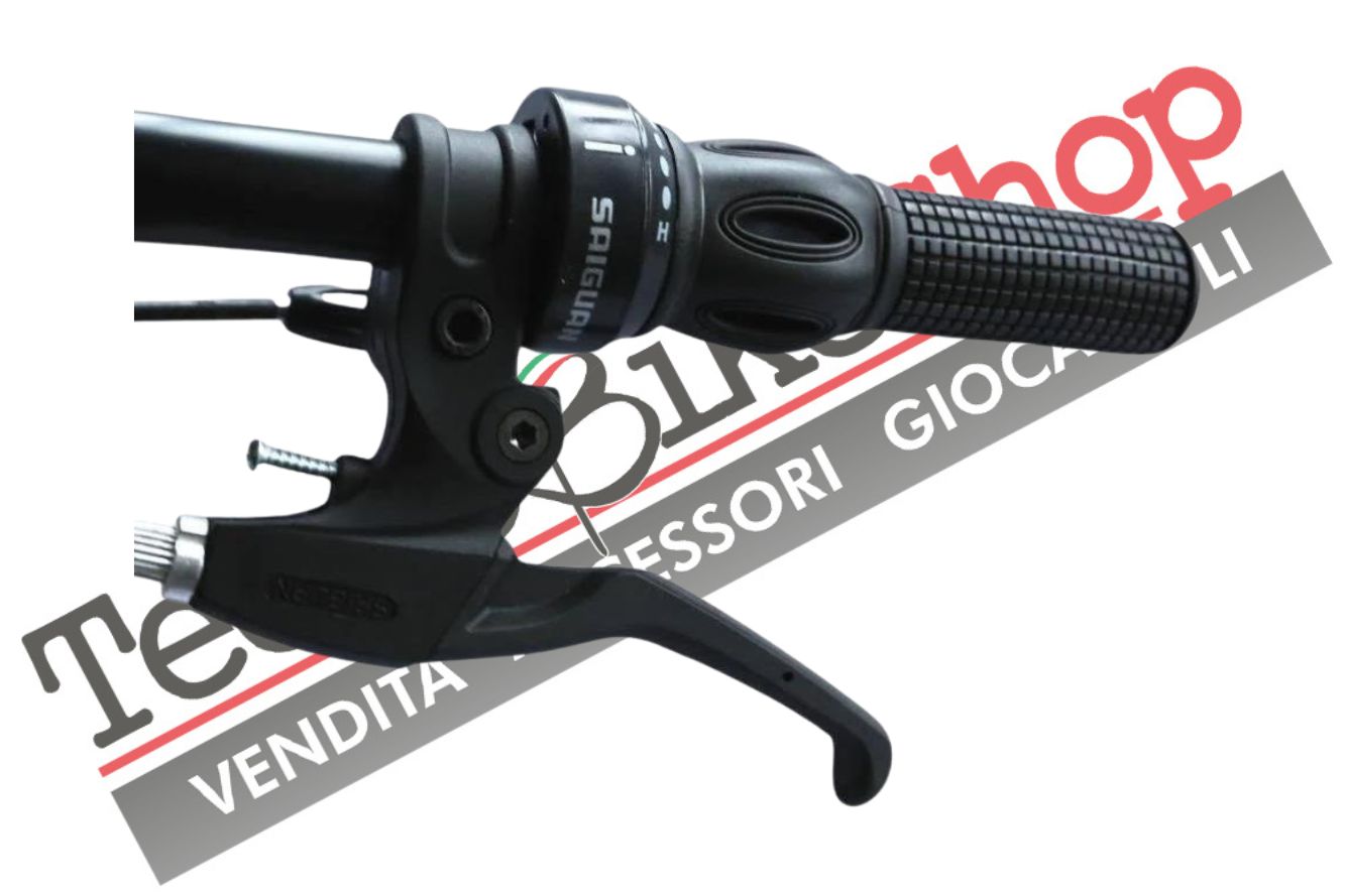 Bicicletta Pieghevole Masciaghi Carbike  20" con Cambio 6 Velocità